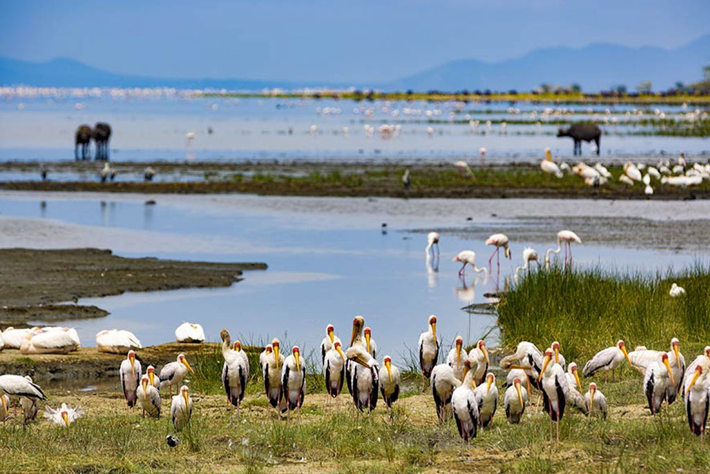 lake-manyara-01