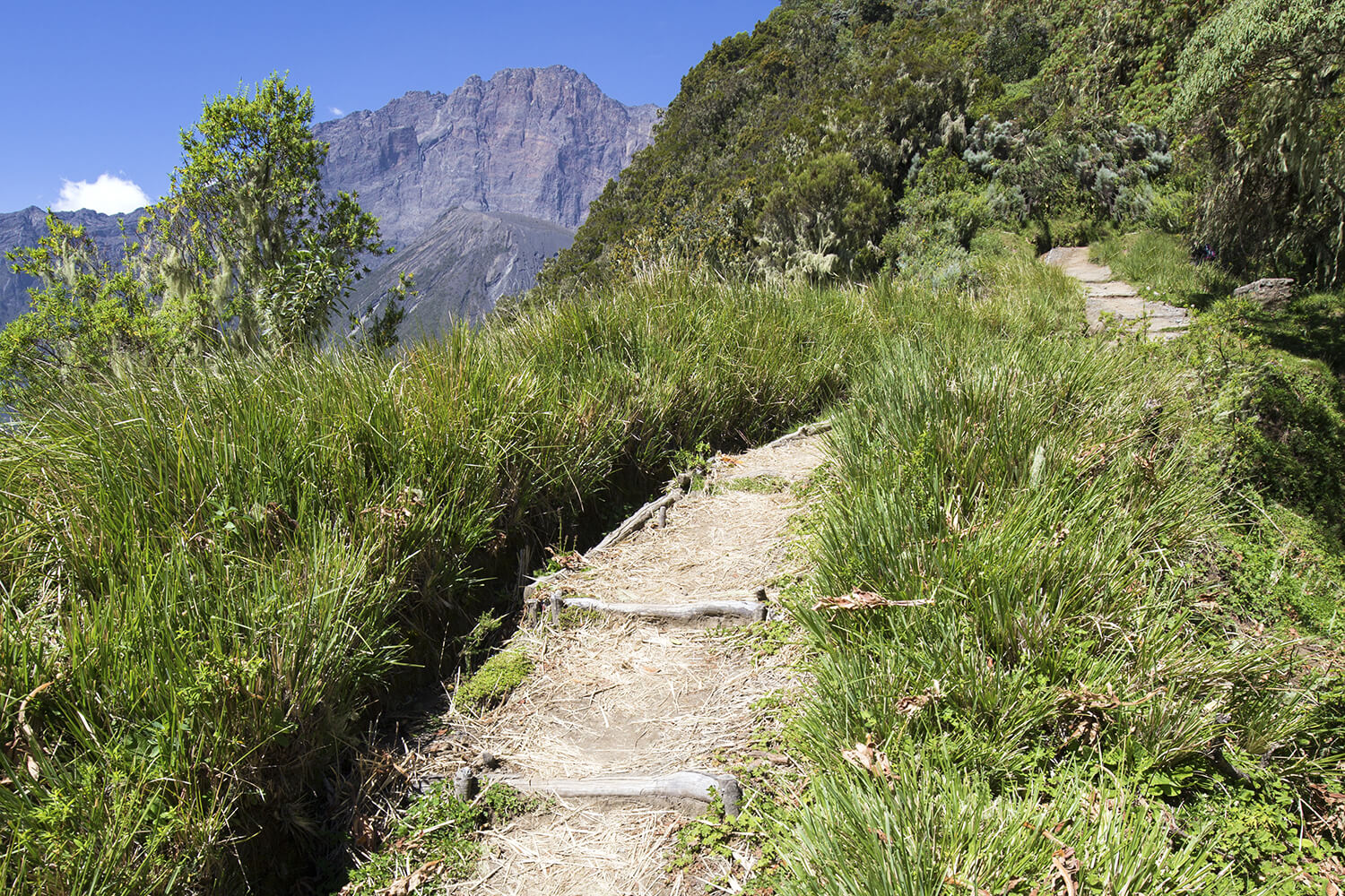 mt. meru02