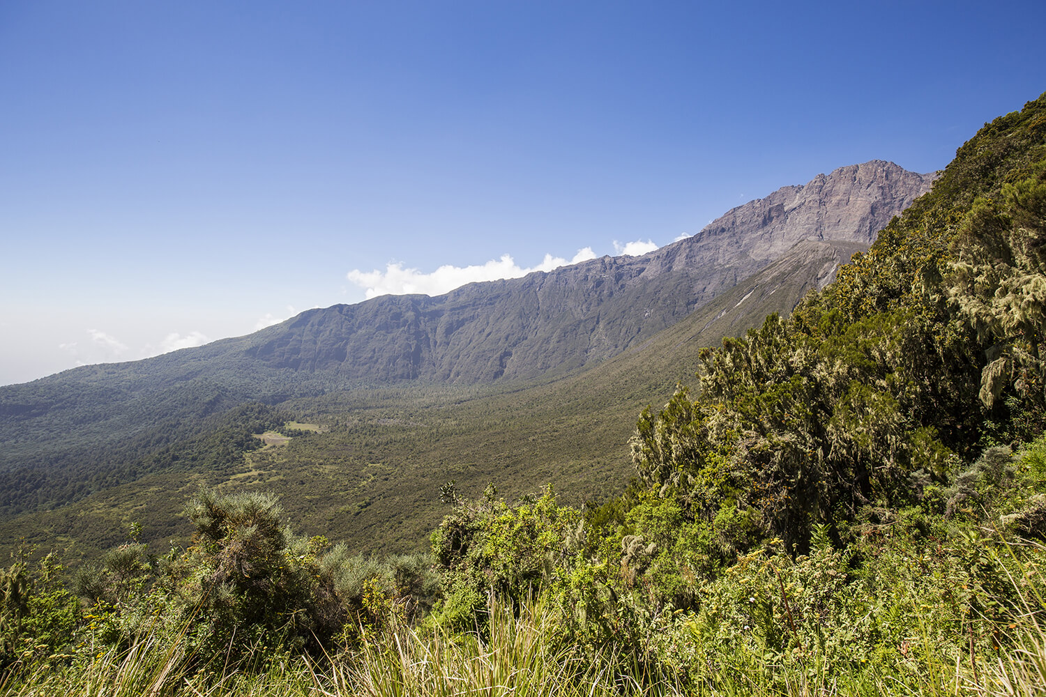 mt. meru04