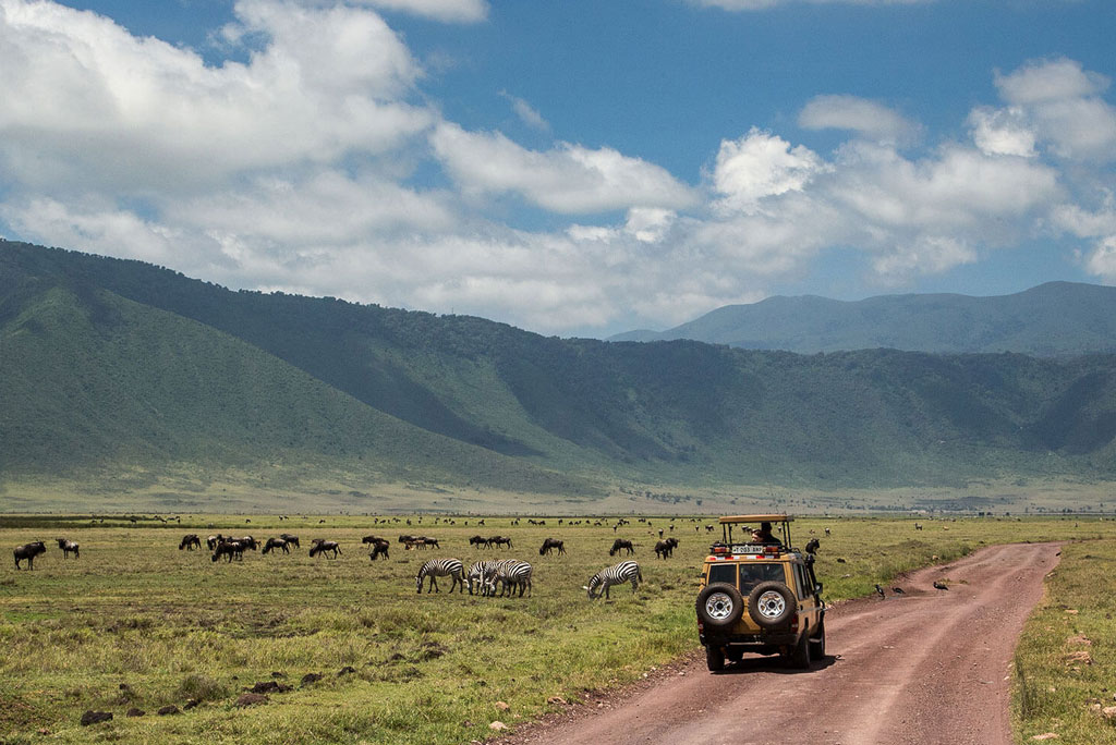 ngorongoro-cons