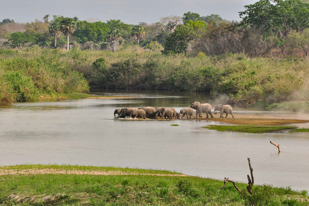 nyerere-national-park