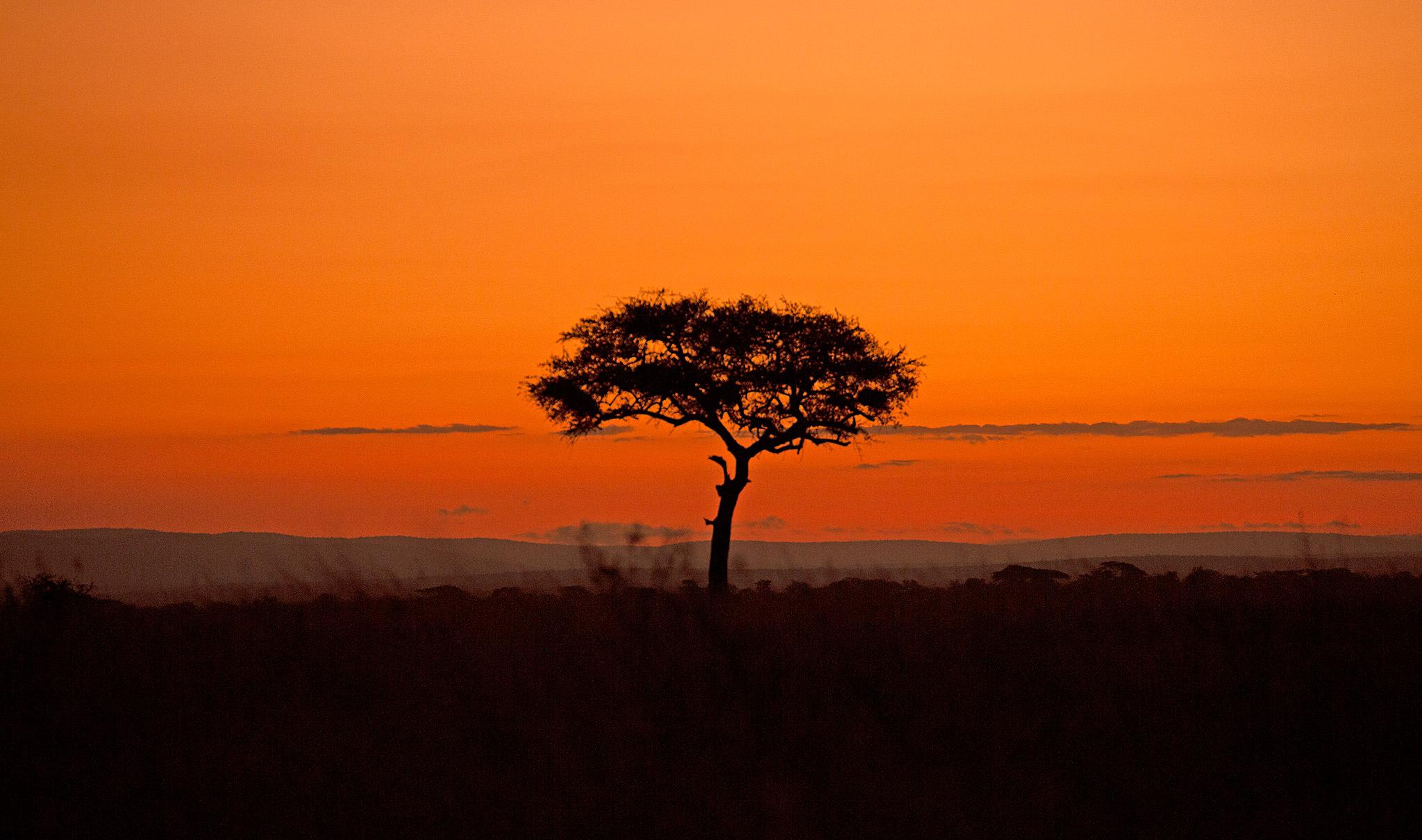 serengeti sunset